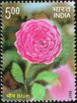 Fragrance Of Roses