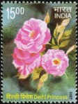 Fragrance Of Roses