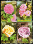 Fragrance Of Roses