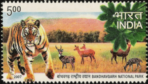 Bandhavgarh National Park
