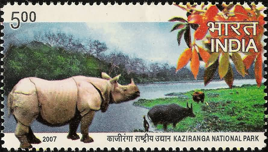 Kanziranga National Park