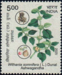 Ashwagandha (Withania somnifera)