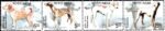 2108 Indian Breeds of Dogs India Se tenant Stamp 2005 1