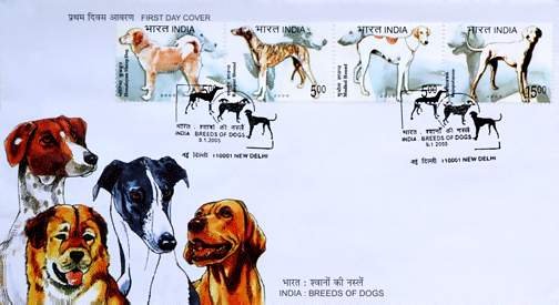 Breeds of Dogs