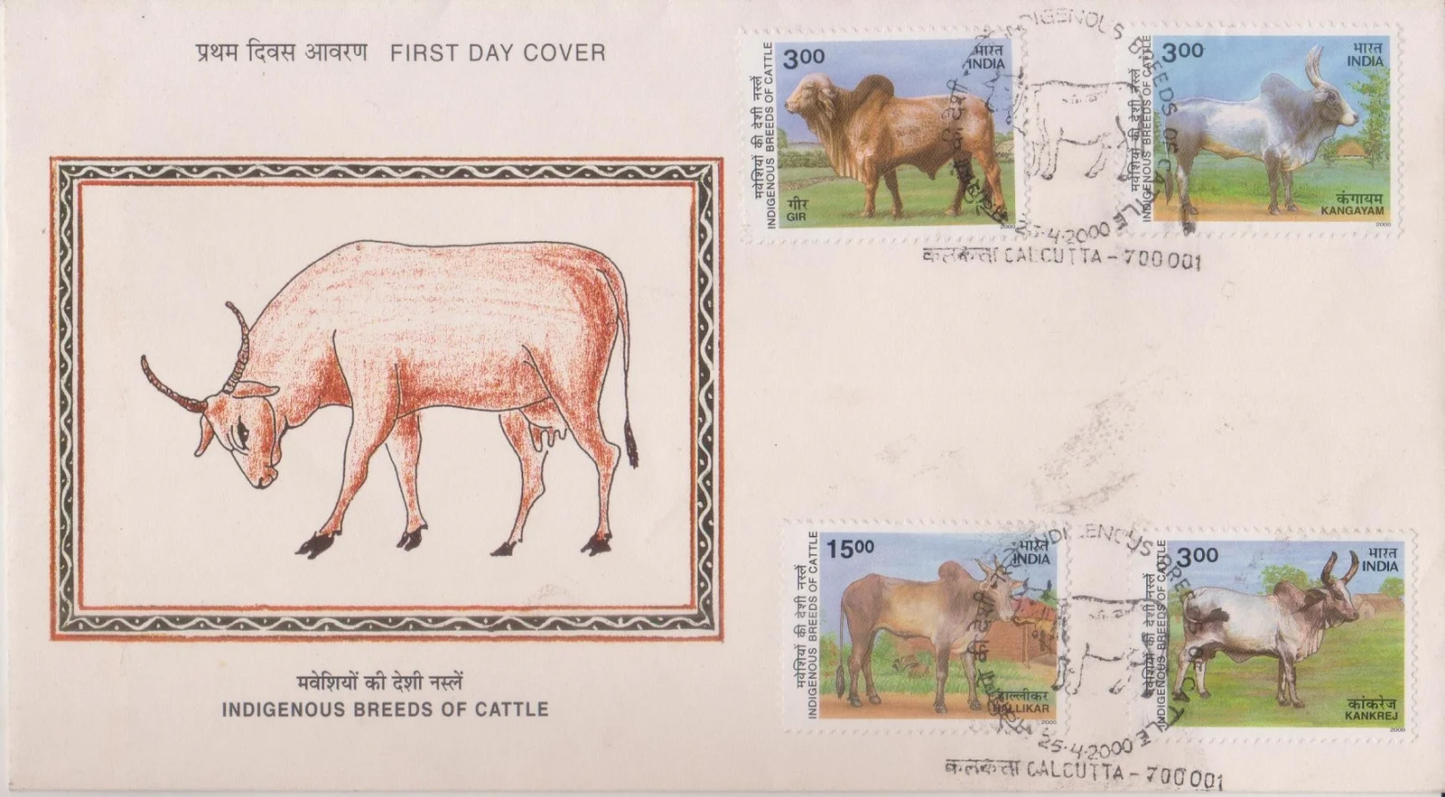 Kankrej Zebu - First Day Cover