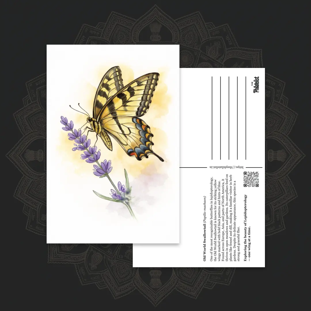Butterfly Postcards – Old World Swallowtail