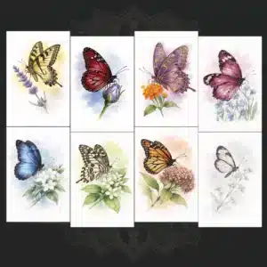 Butterfly Postcards Collection featuring illustrated butterflies and educational facts