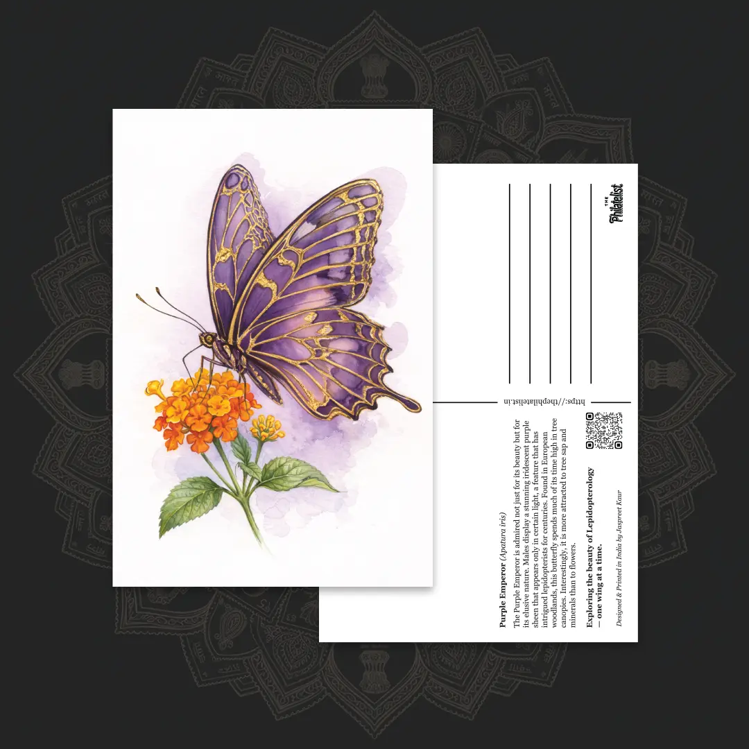 Butterfly Postcards – Purple Emperor