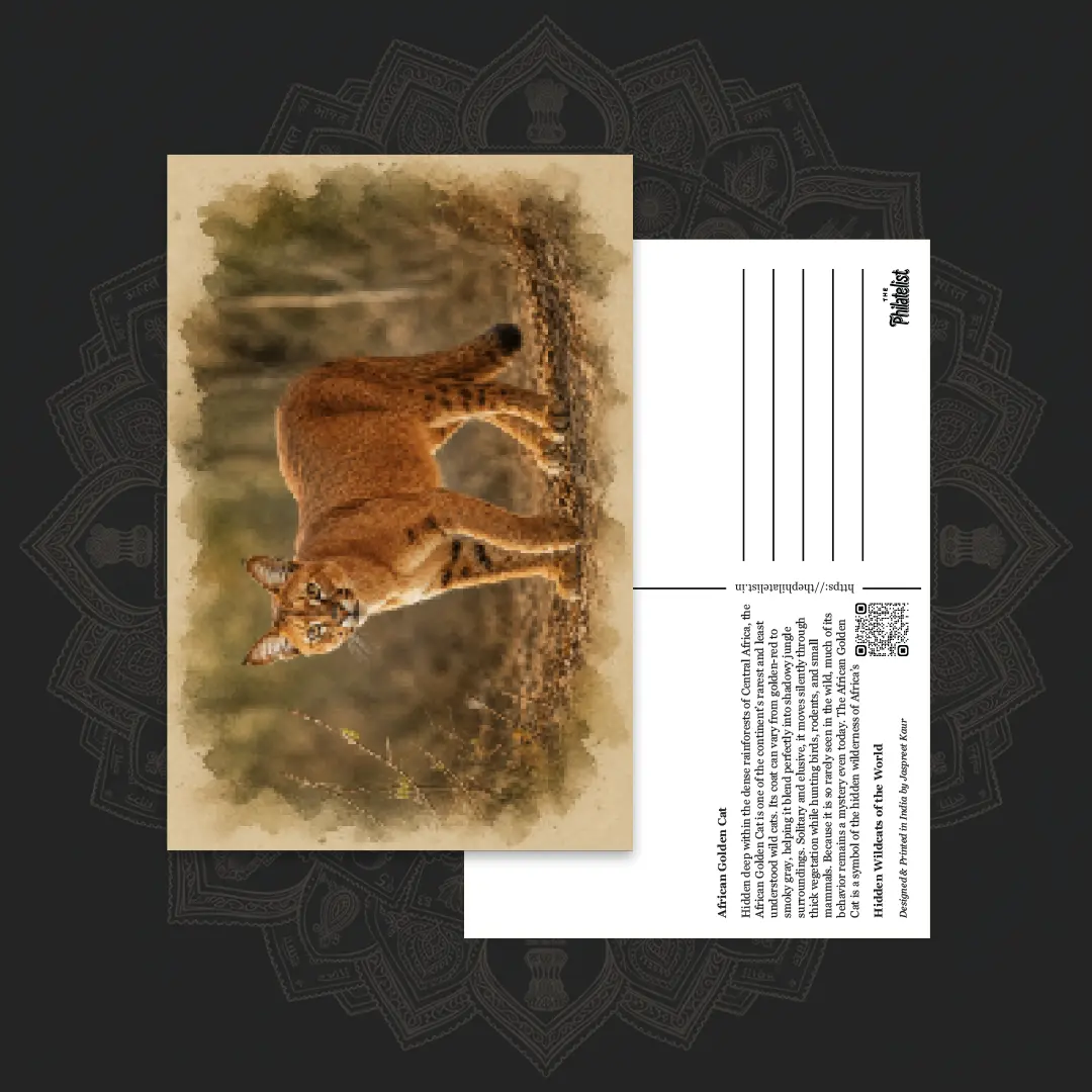 Wild Cats of the World (Collectible Set of 6 Postcards) - Image 7