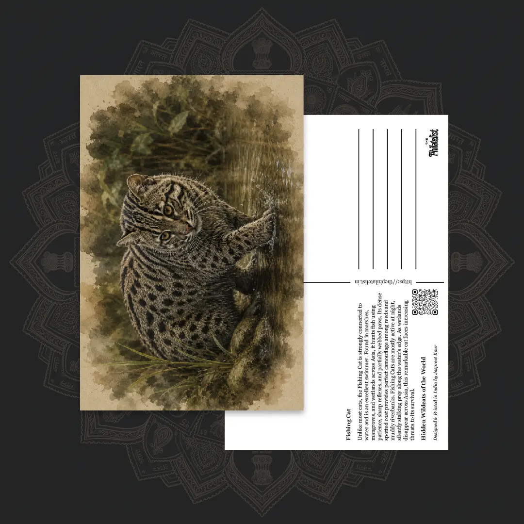 Wild Cats of the World (Collectible Set of 6 Postcards) - Image 6