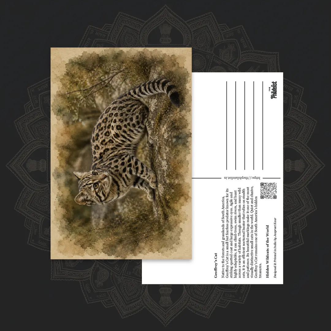 Wild Cats of the World (Collectible Set of 6 Postcards) - Image 5