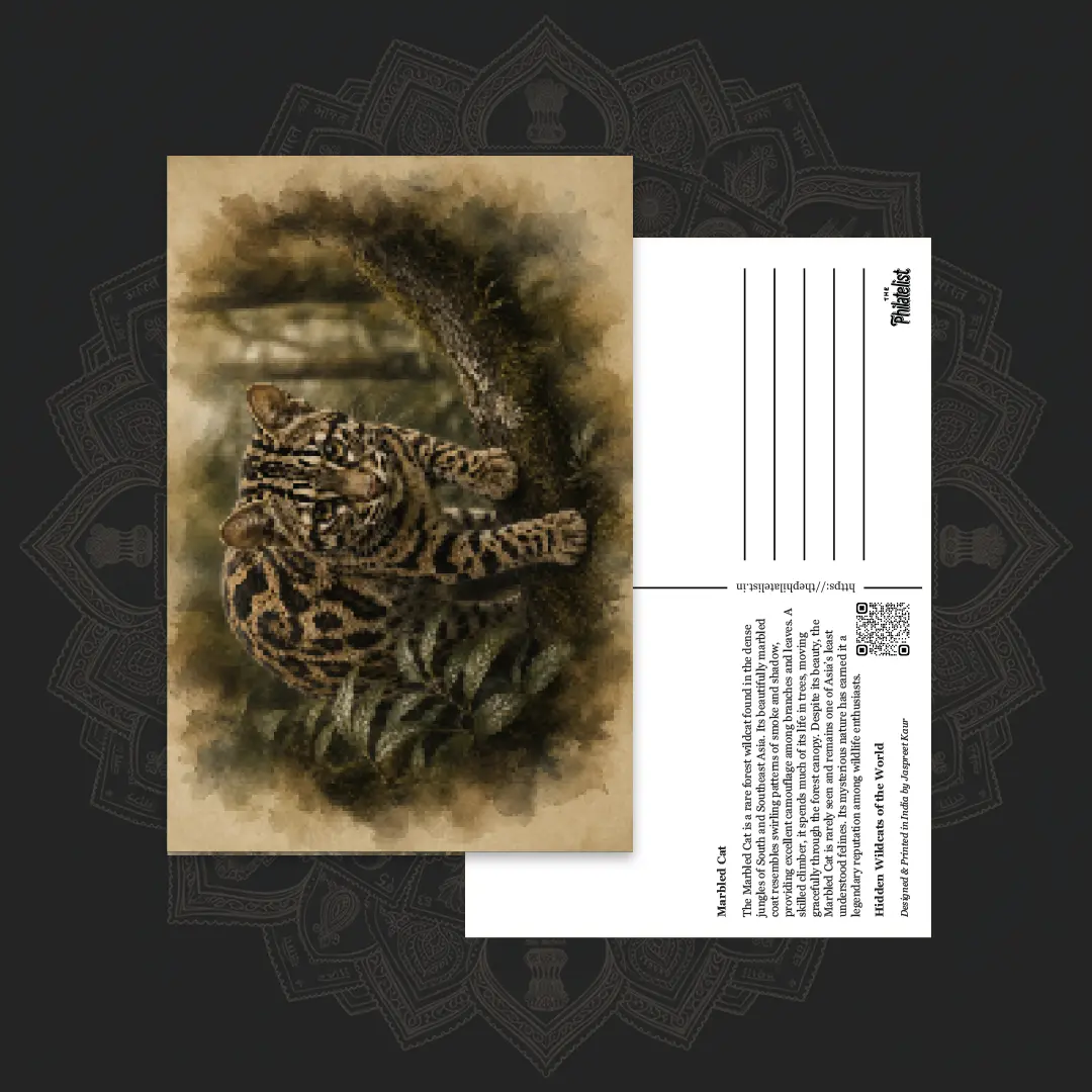 Wild Cats of the World (Collectible Set of 6 Postcards) - Image 4