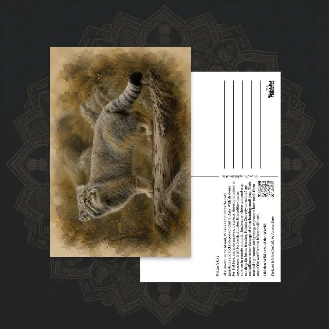 Wild Cats of the World (Collectible Set of 6 Postcards) - Image 3