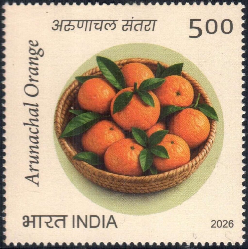 Arnunachal Oranges