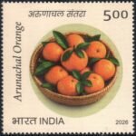 Arnunachal Oranges