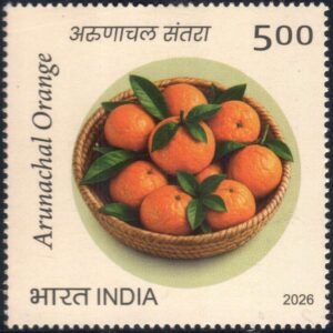 Arnunachal Oranges